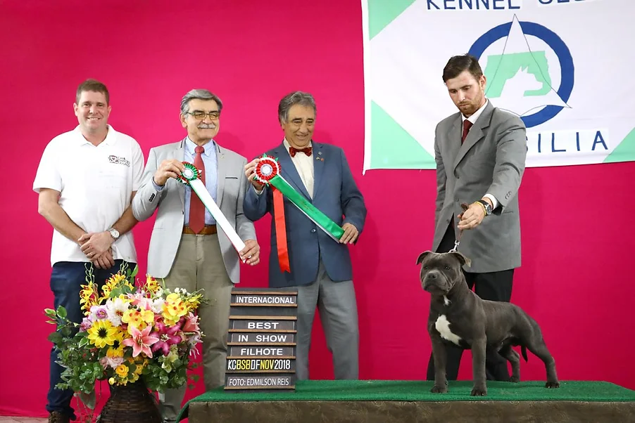 Iron Man Stafford do Lago - Imagem 8