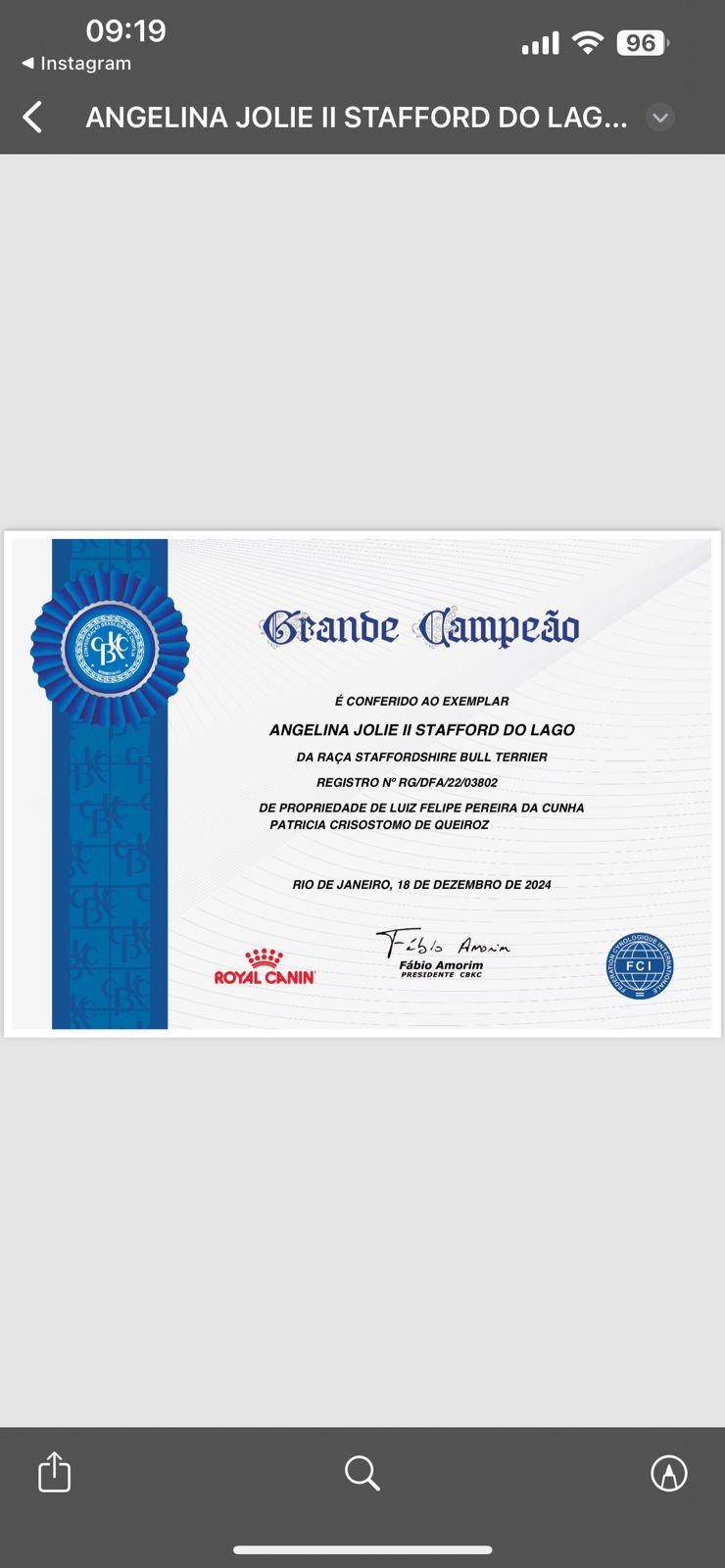 Angelina Jolie II Stafford do Lago - Imagem 2