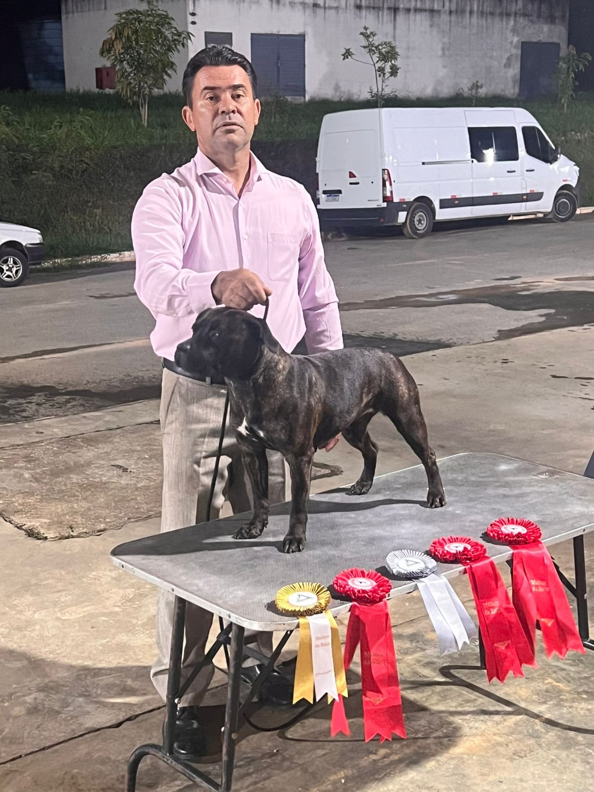 Angelina Jolie II Stafford do Lago - Imagem 6