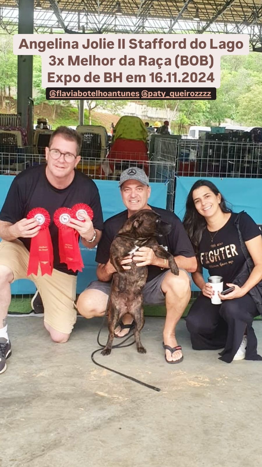 Angelina Jolie II Stafford do Lago - Imagem 7