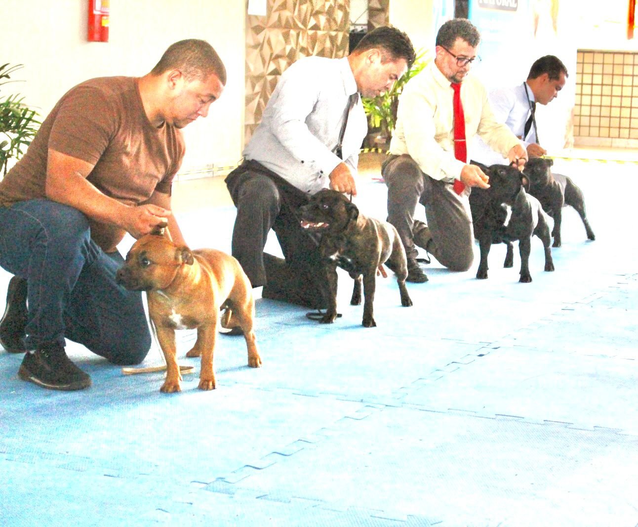 Angelina Jolie II Stafford do Lago - Imagem 8