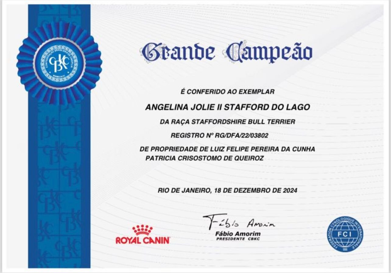 Angelina Jolie II Stafford do Lago - Imagem 9