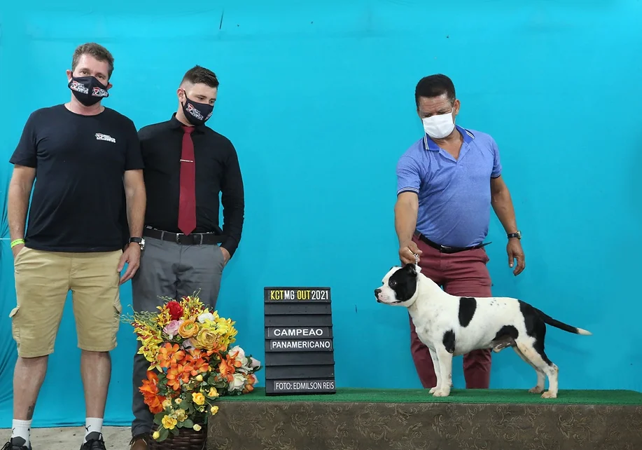 Vin Diesel - Imagem 3